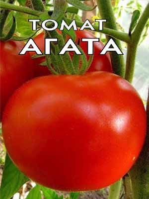 Агата
