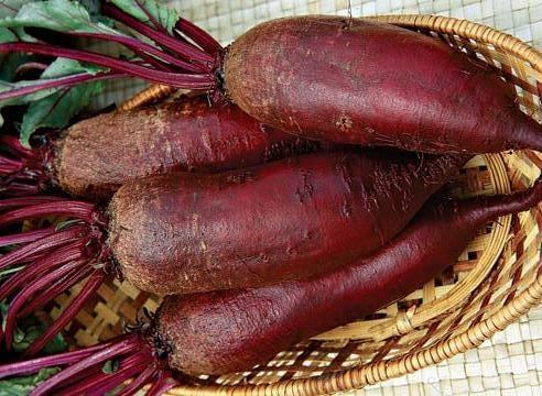 Свекла Цилиндра