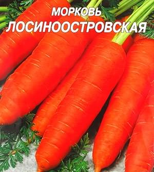 Морковь Лосиноостровская