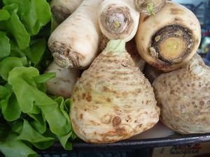 Корнеплоды сельдерея пахучего